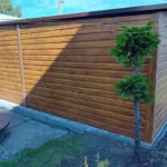 Zdjęcie WhatsApp 2024-06-10 o 15.10.15_30e9fc11